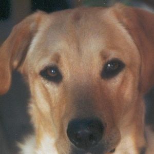 Meet your Posher, Danny